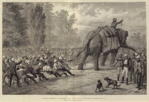 Military Amusements in Afghanistan, the Tug of War in the Camp at Gundamuk